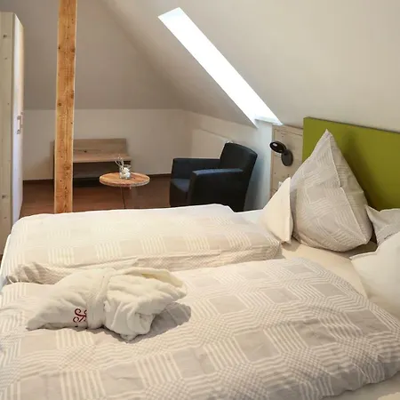 Apartment Ruters Parkhotel/ferienwohnung *